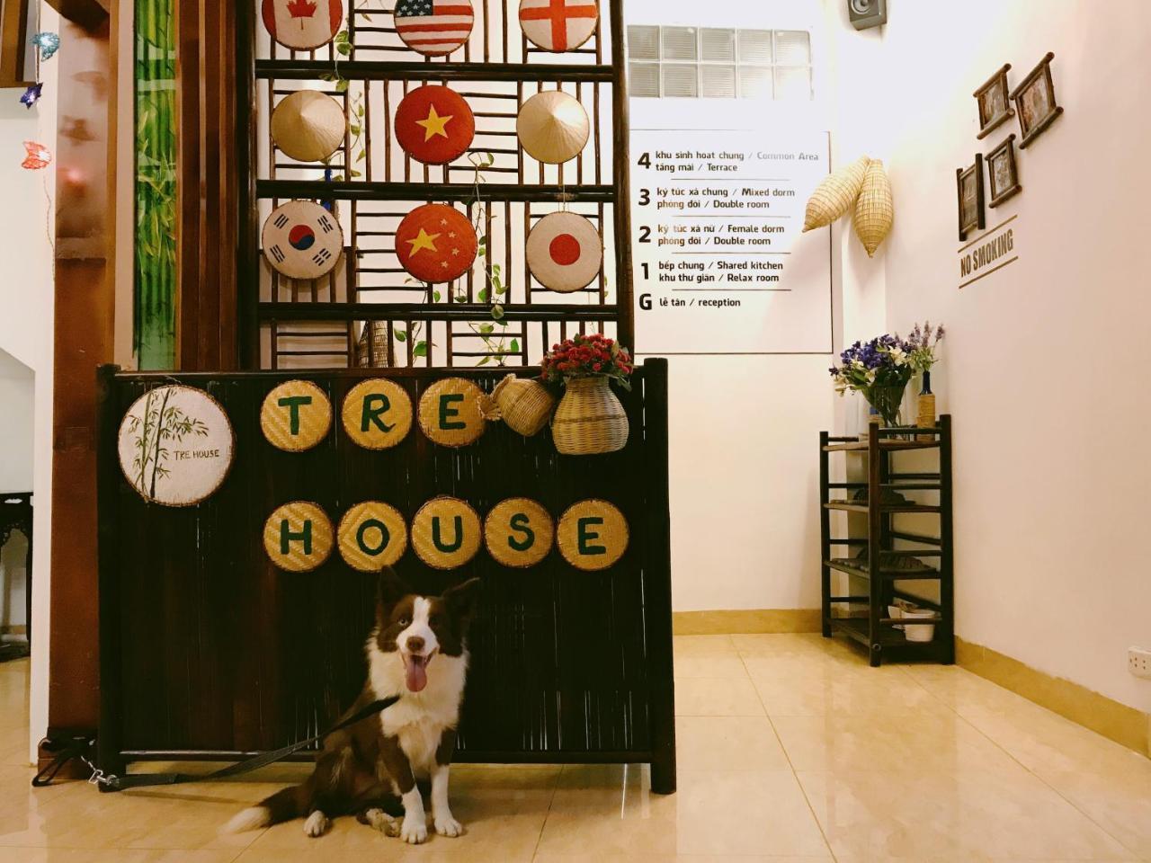 Tre House Homestay Hanoi Exterior photo